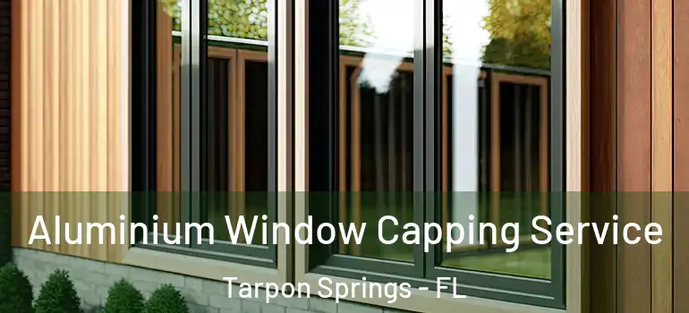  Aluminium Window Capping Service Tarpon Springs - FL