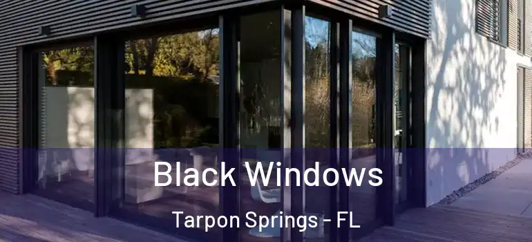  Black Windows Tarpon Springs - FL
