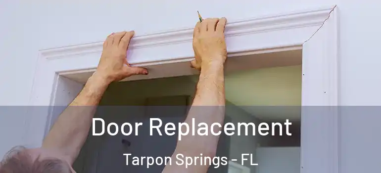  Door Replacement Tarpon Springs - FL