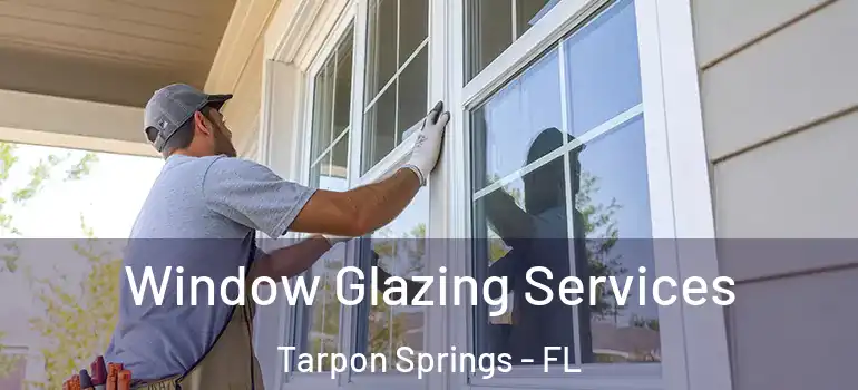  Window Glazing Services Tarpon Springs - FL