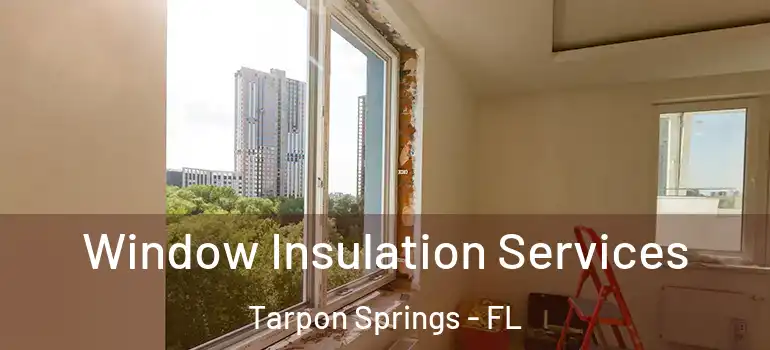  Window Insulation Services Tarpon Springs - FL