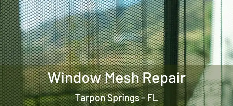 Window Mesh Repair Tarpon Springs - FL